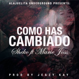 Como Has Cambiado (feat. Marie Joss) Sheko