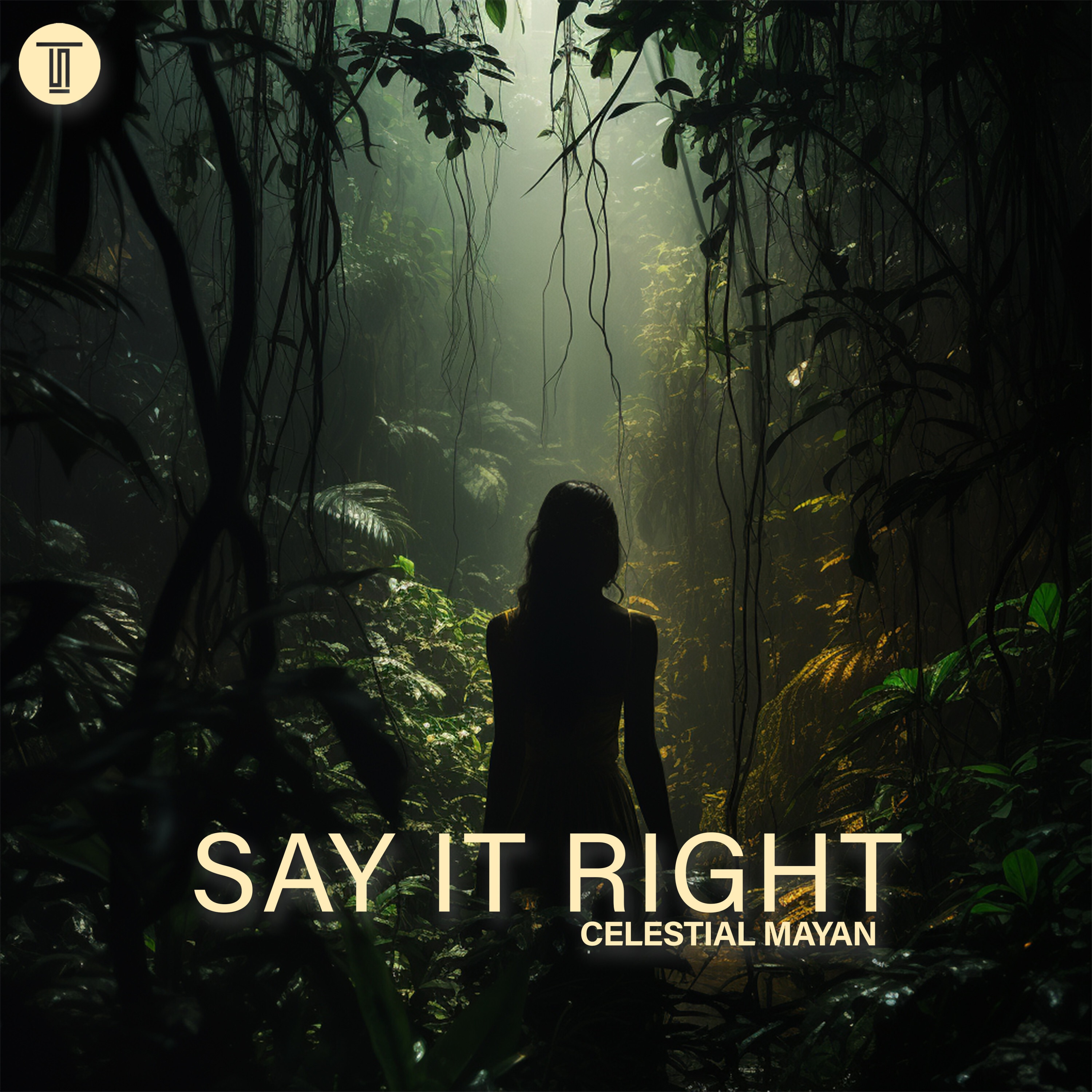 Say It Right (Afro House) - Single