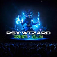 Psy Wizard - Single - Skinnyr