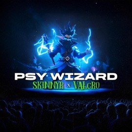 Psy Wizard Skinnyr