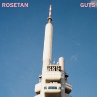 guts - Single - rosetan