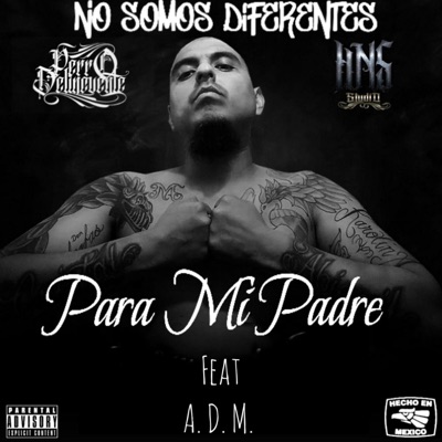 Para Mí Padre - Single