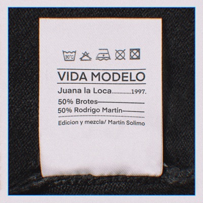 VIDA MODELO (feat. Juana La Loca) - Single