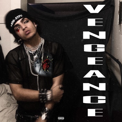 VENGEANCE (feat. Yungmexicanbihh) - Single