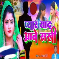 Pyar Yaad Aave Sakhi - Single - Pawan Premi
