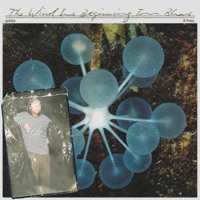 The wind is beginning to blow (feat. Feez.) - Single - gebbo