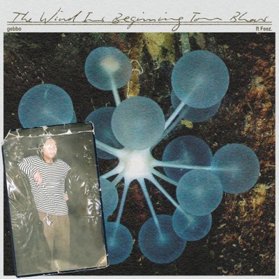 The wind is beginning to blow (feat. Feez.) - Single