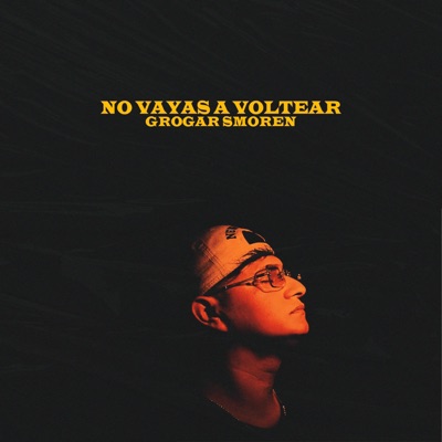 No vayas a voltear - Single