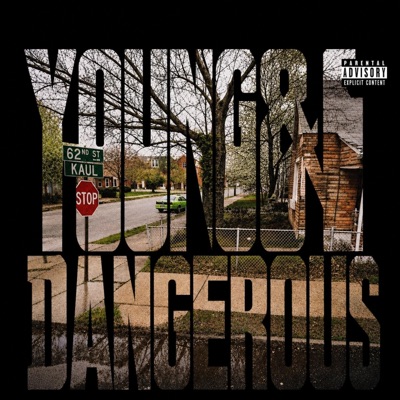 Young & Dangerous (feat. DraeStashin & Flex1k) - Single