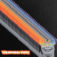 THE NATURAL STATE - Daniel Ollison
