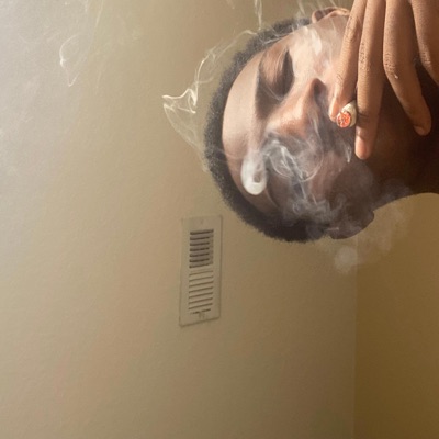 Too Many Snakes - Single