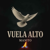 Vuela Alto - Single - Lirical en Tu Oido