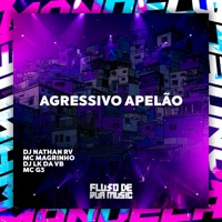 Agressivo Apelão - Single - DJ NATHAN RV, DJ LK DA VB, Mc G3 & Mc Magrinho