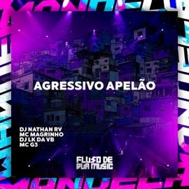 Agressivo Apelão DJ NATHAN RV, DJ LK DA VB, Mc G3 & Mc Magrinho