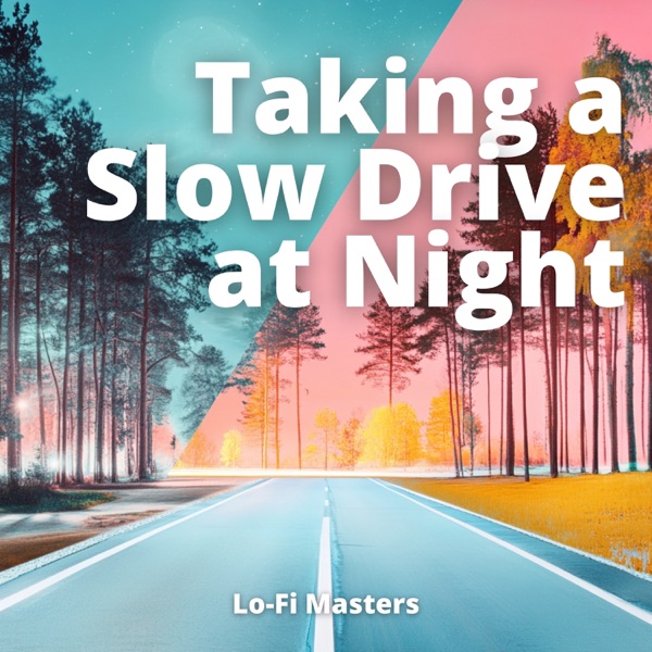 Taking a Slow Drive at Night