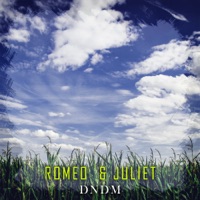 Romeo & Juliet - Single - DNDM