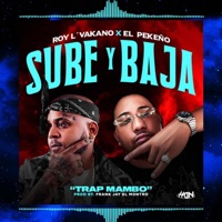 SUBE Y BAJA (feat. EL PEKENO) - Single - RoyHDN