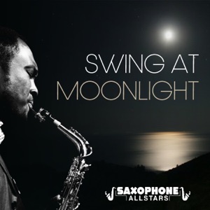 Swing at Moonlight