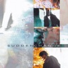 Sudden Change - Single