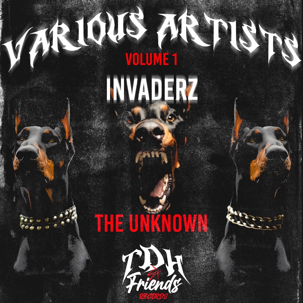 Обложка альбома «The Unknown - Single» — Invaderz