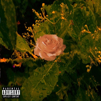 One Night - Single