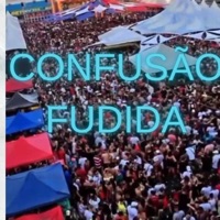 Confusão Fudida - Single - Mc Negritin, DJ Mibi & DJ Br Fabuloso