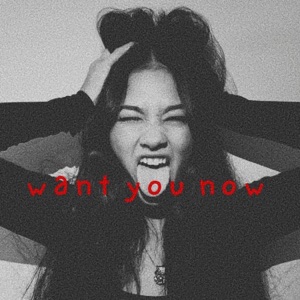 Want You Now - Single