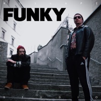Funky (feat. The Grooveridaz) - Single - Grandmaster Flow & Def Ill