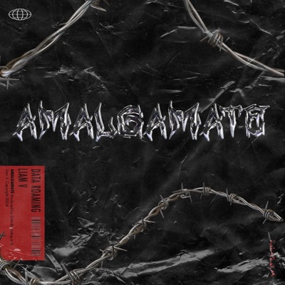 Amalgamate (feat. Data Roaming) - Single