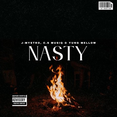 C.s MusiQ & J-Mystro - Nasty (feat. Yung Mellow)