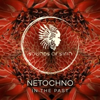 In the Past - Single - Netochno & Sounds Of Sirin