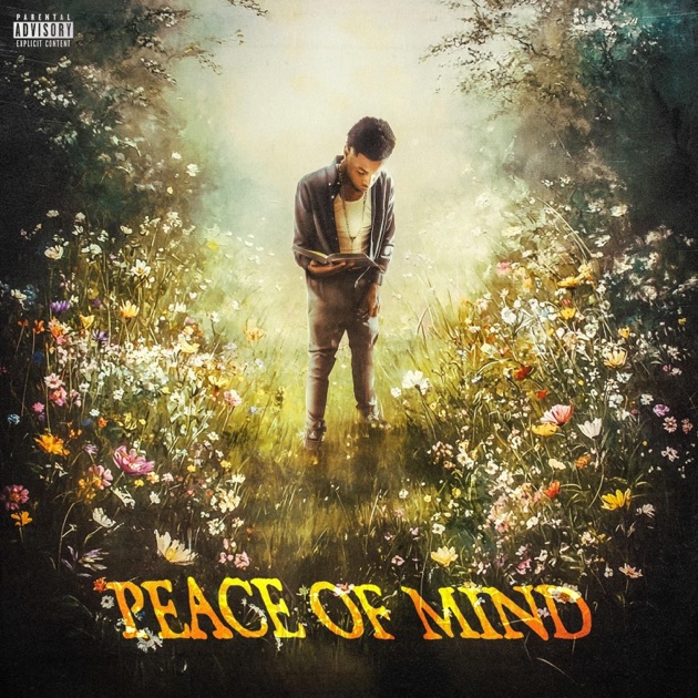 peace of mind - Single - Album by Youknowsteexy - Apple Music