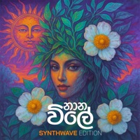 Naana Vile (Synthwave Edition) - Single - MalindaG