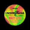 Wavy Love