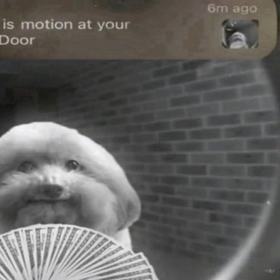 PERFECT (feat. Lil Var) - Single