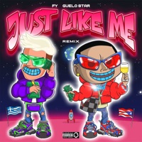 Just Like Me (Remix) - Single - FY & Guelo Star