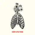 Every Little Thing