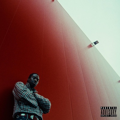 2BLE CUP - Single
