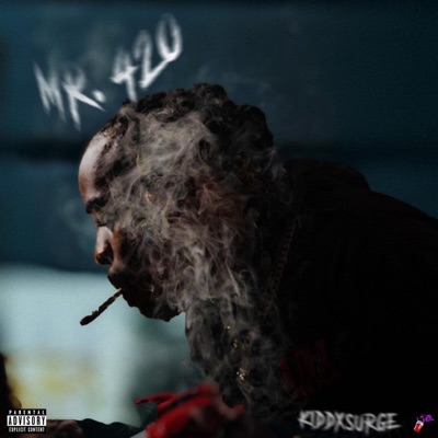 Mr. 420 (feat. TUNDRA & Brycely) - Single