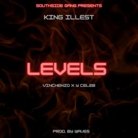 Level (feat. Y Celeb & Vinchenzo) - Single - King Illest