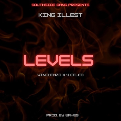 Level (feat. Y Celeb & Vinchenzo) - Single