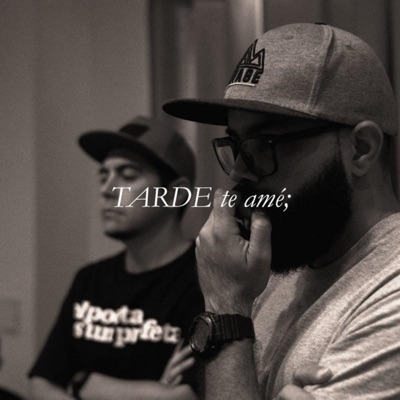 Tarde Te Amé - Single