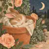 Baby Sleep 0B Moonwoven - Canción de cuna instrumental - La almohada de flores