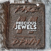 Precious Jewels - Single - T-Moe44
