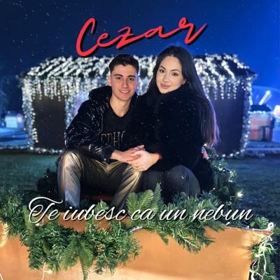 Te Iubesc Ca Un Nebun (Colindul Lui Mos Craciun) - Single