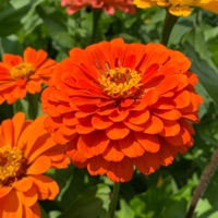 Beauty - Single - Patrick McMillan