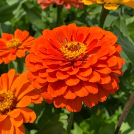 Early Sunrise Patrick McMillan