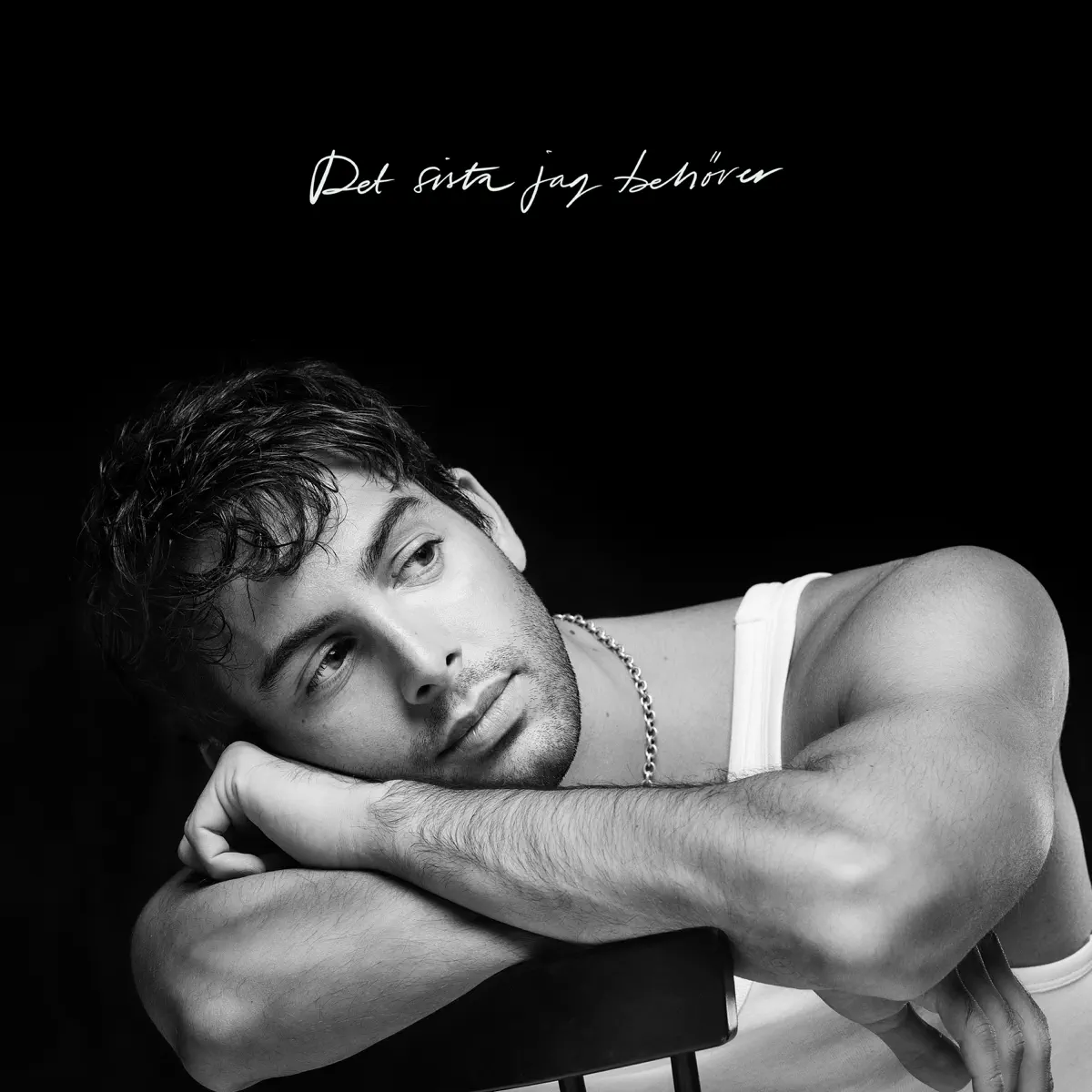 Darin - Det sista jag behöver - Single (2025) [iTunes Plus AAC M4A]-新房子