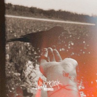 Birds Sing - Single - Dakota Bear