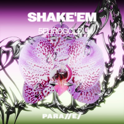 Shake'em - Single